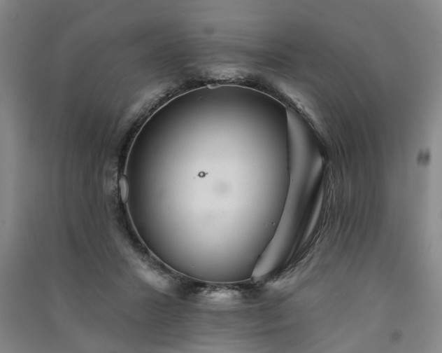 X0000091370407200708171549