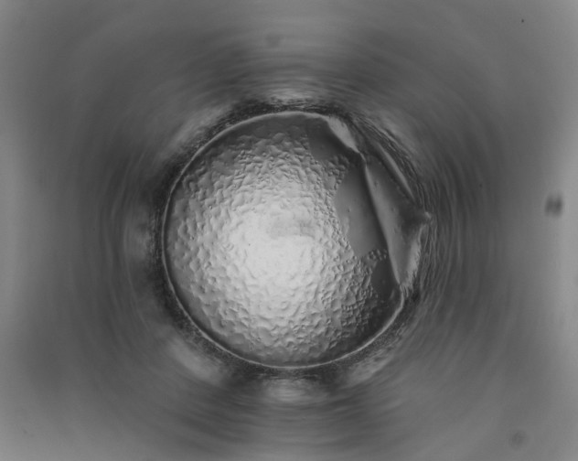 X0000091370408200708171549