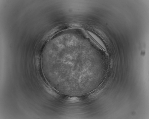 X0000091370409200708171549