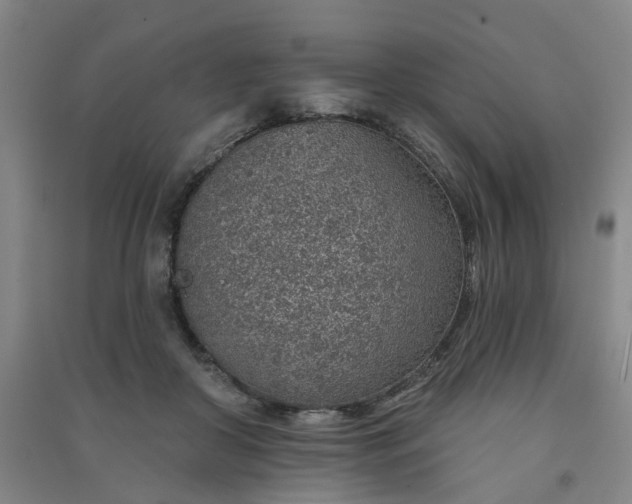 X0000091370410200708171549