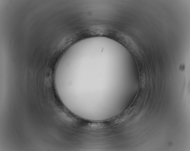 X0000091370414200708171549