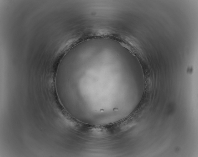 X0000091370415200708171549