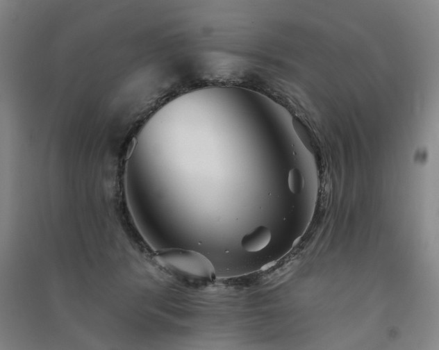 X0000091370416200708171549