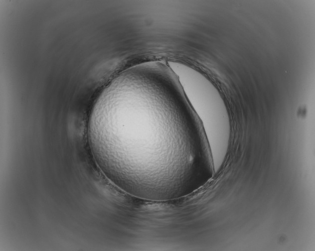 X0000091370417200708171549