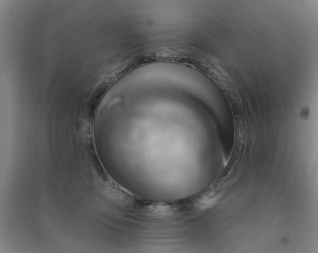 X0000091370419200708171549