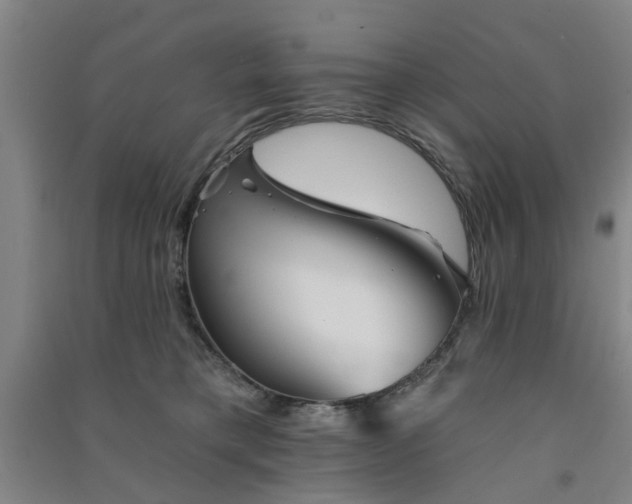 X0000091370421200708171549