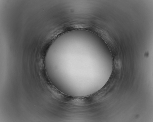 X0000091370422200708171549