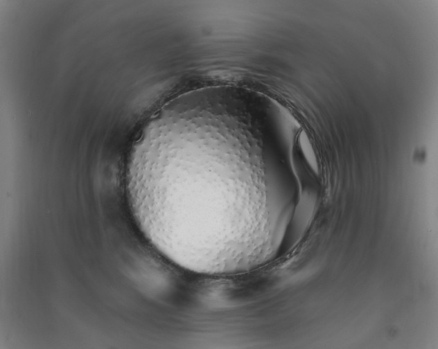 X0000091370424200708171549