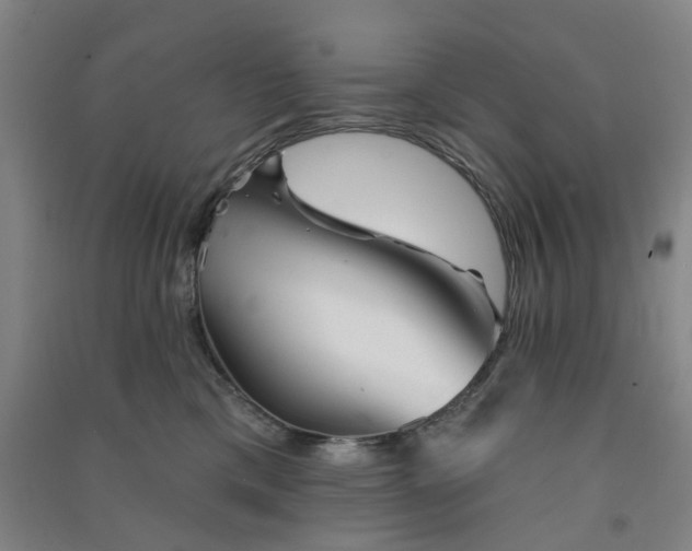 X0000091370425200708171549