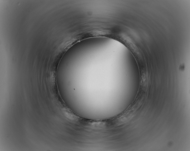 X0000091370426200708171549