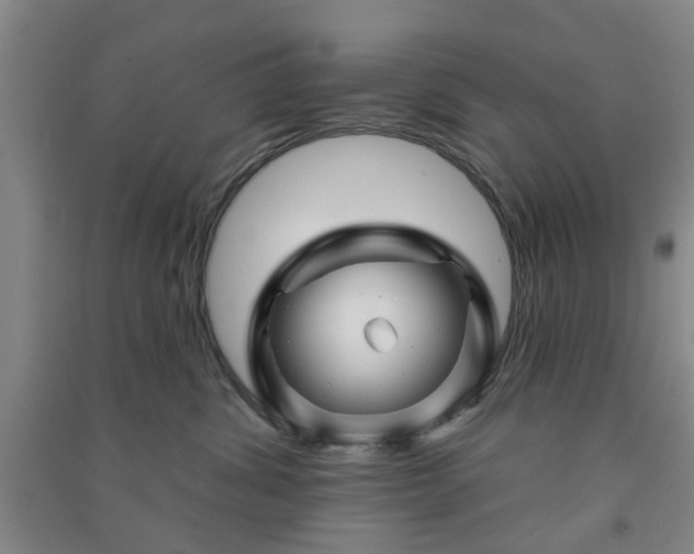 X0000091370428200708171549