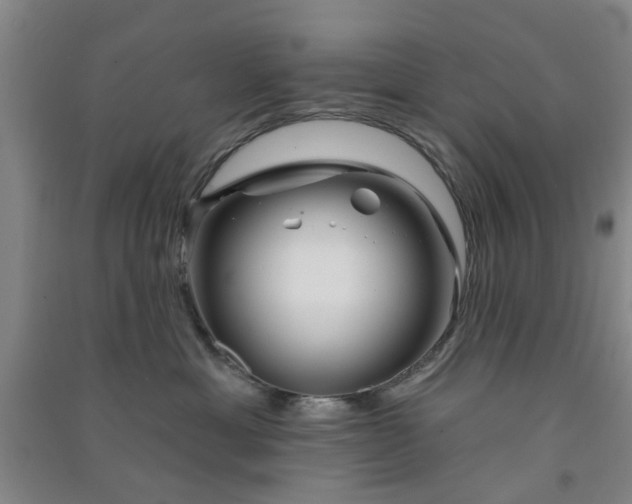 X0000091370429200708171549