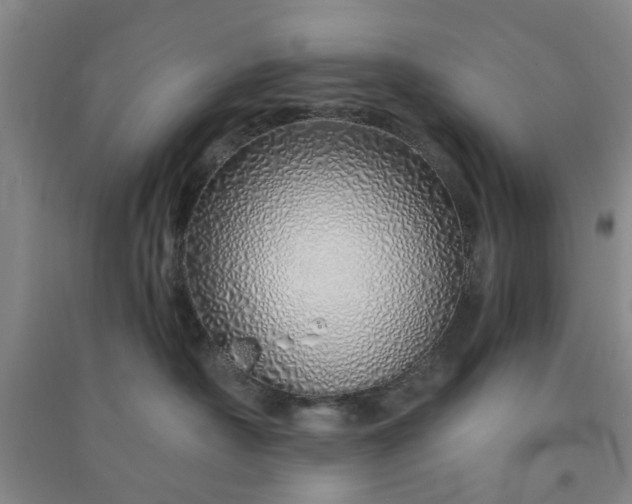 X0000091370430200708171549