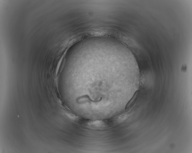 X0000091370431200708171549