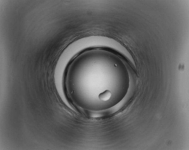 X0000091370432200708171549