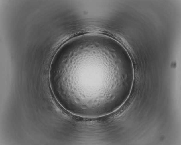 X0000091370433200708171548