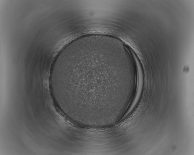 X0000091370434200708171548