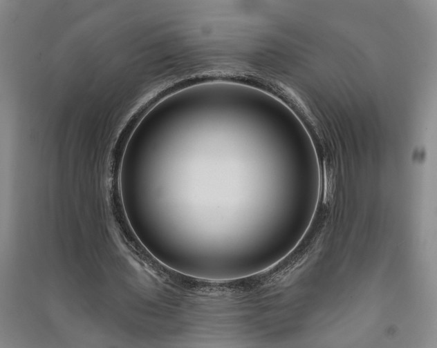 X0000091370435200708171548