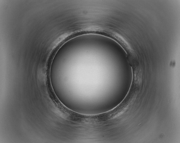 X0000091370436200708171548