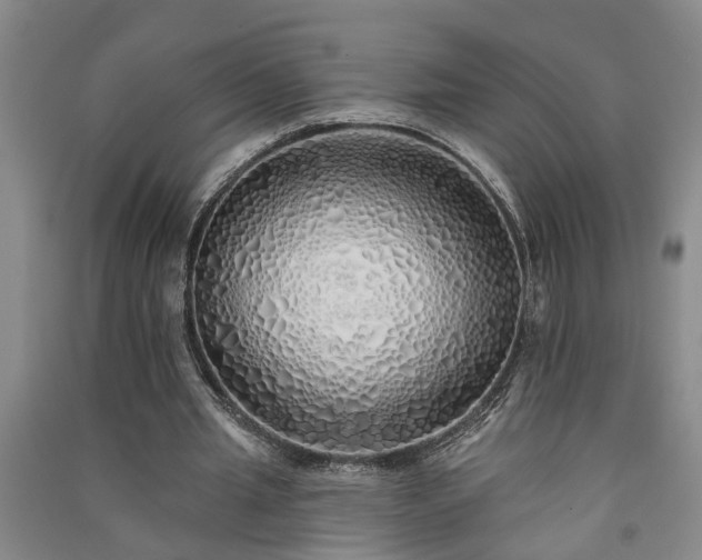 X0000091370437200708171548