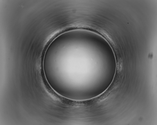 X0000091370438200708171548