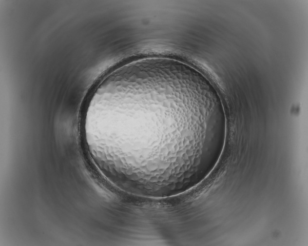 X0000091370439200708171548