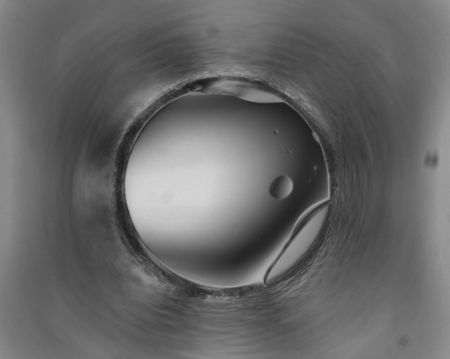 X0000091370440200708171548