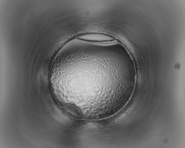 X0000091370441200708171548