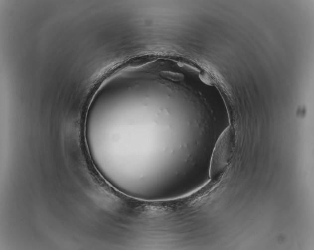 X0000091370442200708171548