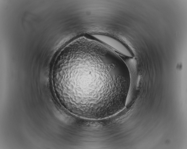 X0000091370443200708171548