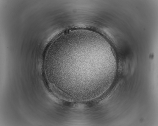 X0000091370444200708171548