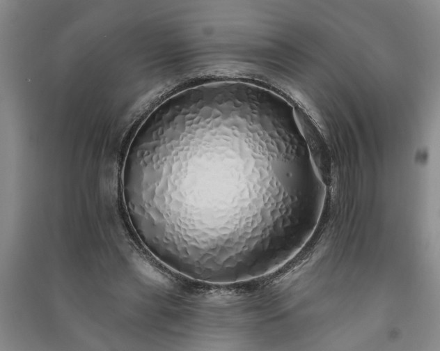 X0000091370445200708171548