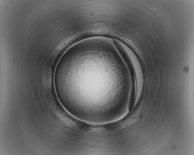 X0000091370446200708171548