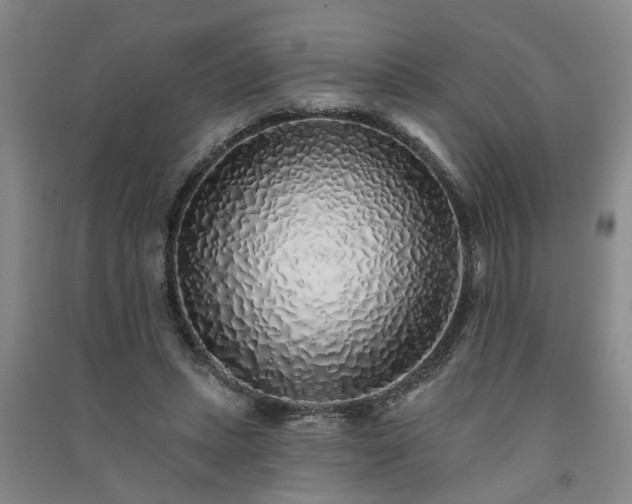 X0000091370447200708171548