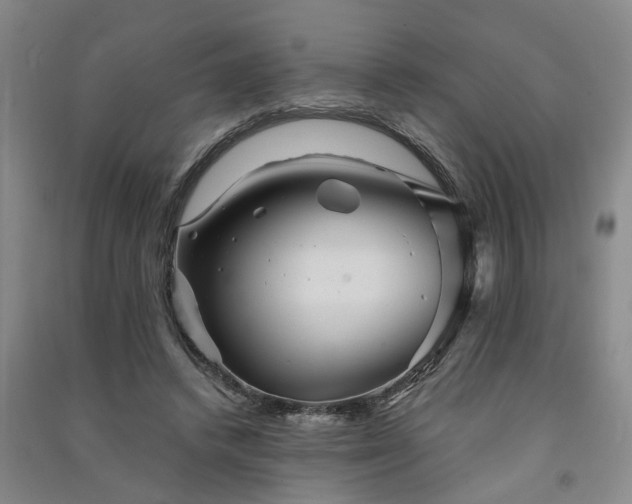 X0000091370448200708171548