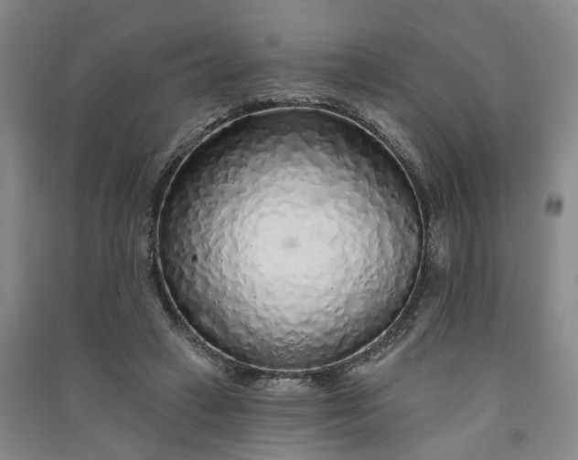 X0000091370449200708171548