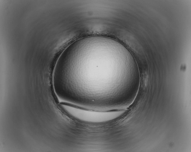 X0000091370450200708171548