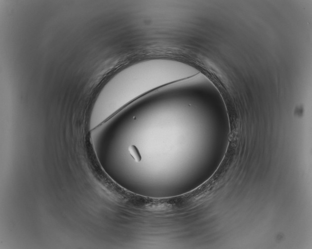 X0000091370452200708171548