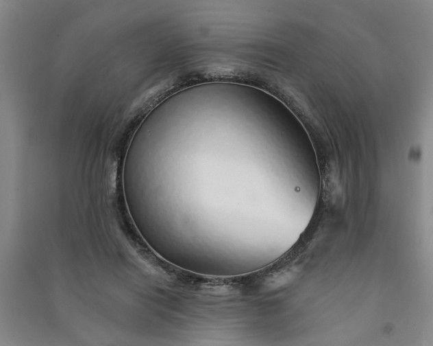 X0000091370454200708171548