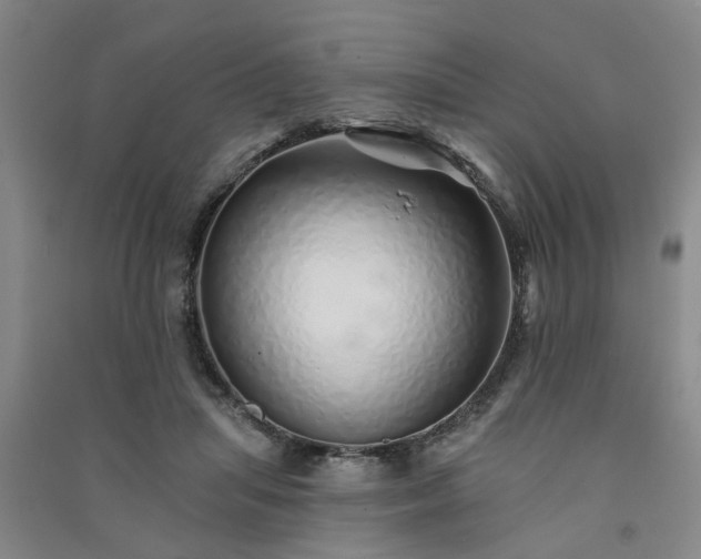 X0000091370455200708171548