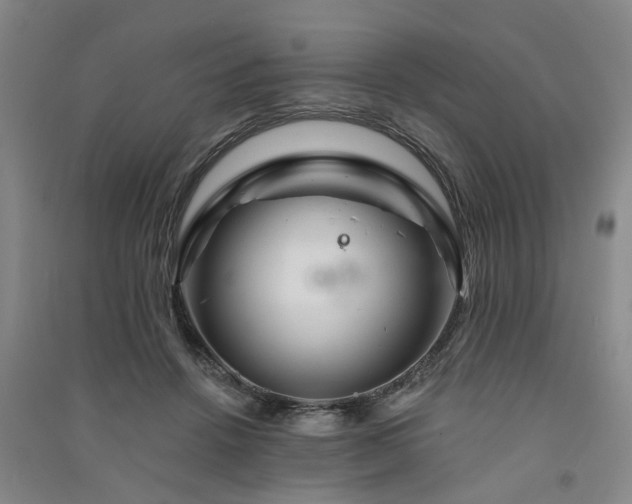 X0000091370456200708171548