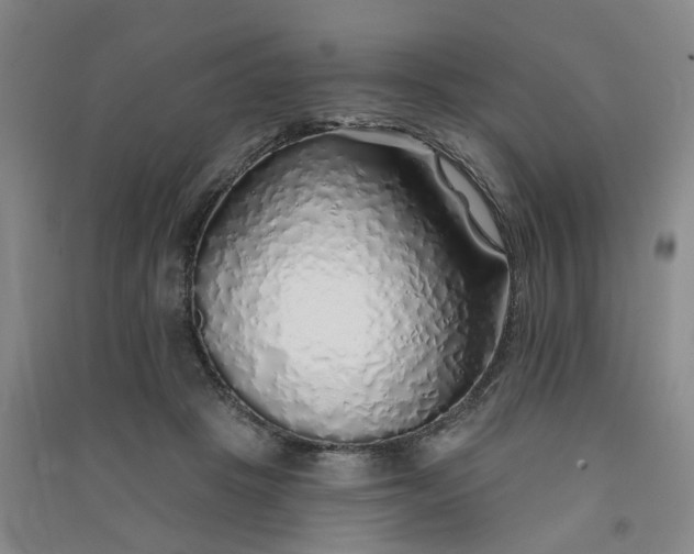 X0000091370457200708171548