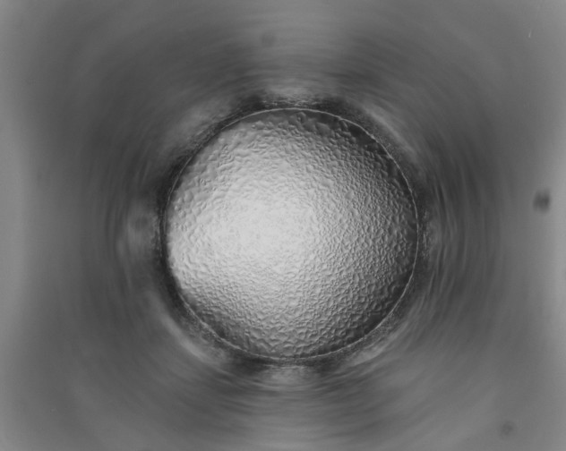 X0000091370459200708171548