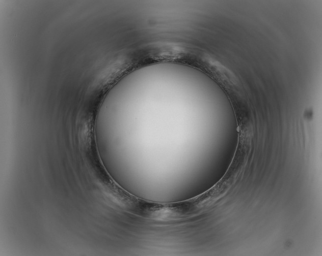 X0000091370460200708171548