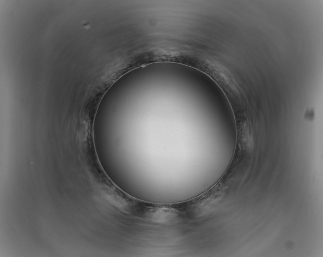 X0000091370463200708171548