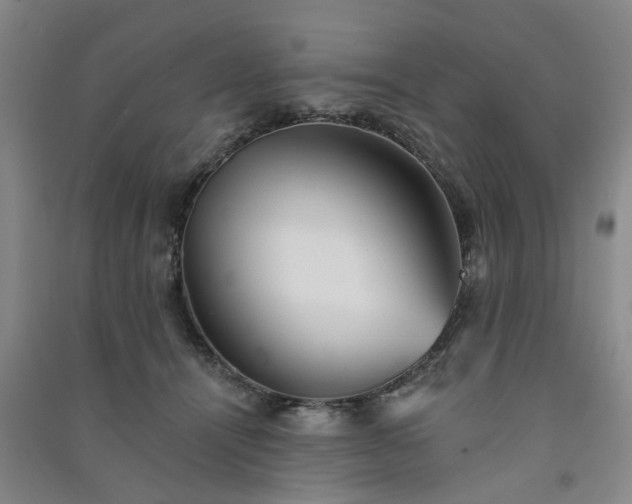 X0000091370464200708171549