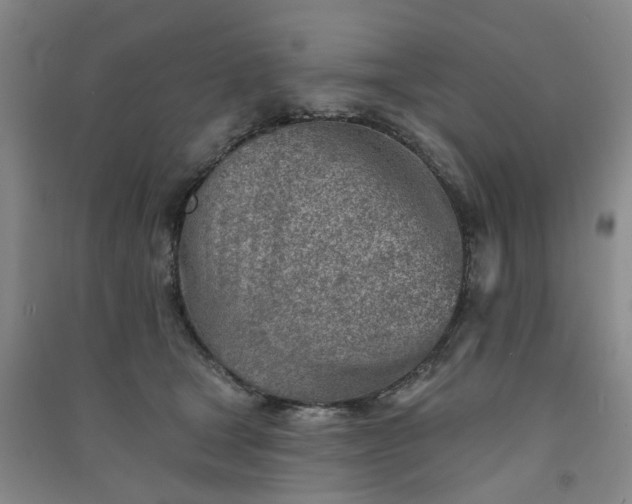 X0000091370465200708171549