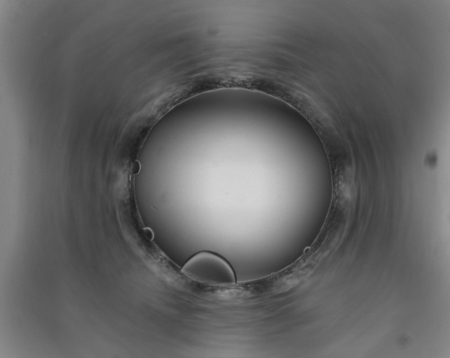 X0000091370468200708171549