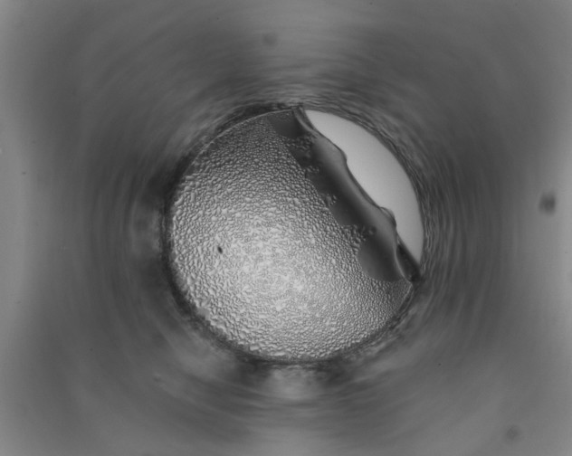 X0000091370470200708171549