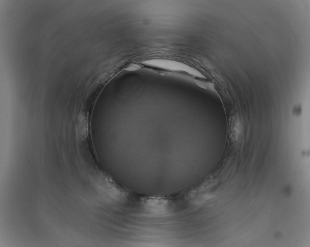 X0000091370471200708171549